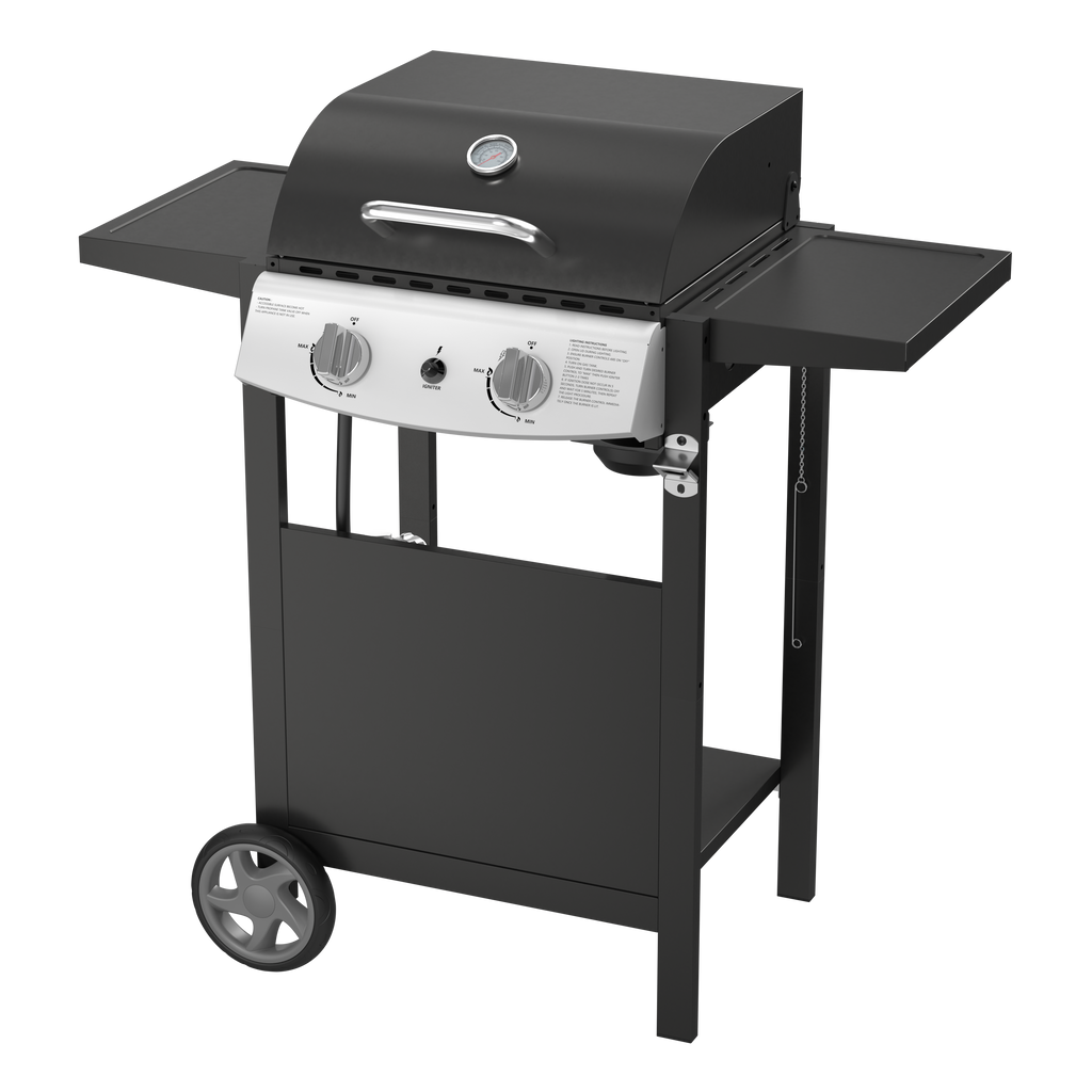 2-Burner Propane Gas BBQ Grill, 20,000 BTU Stainless Steel Grill with Side Shelves and Wheels