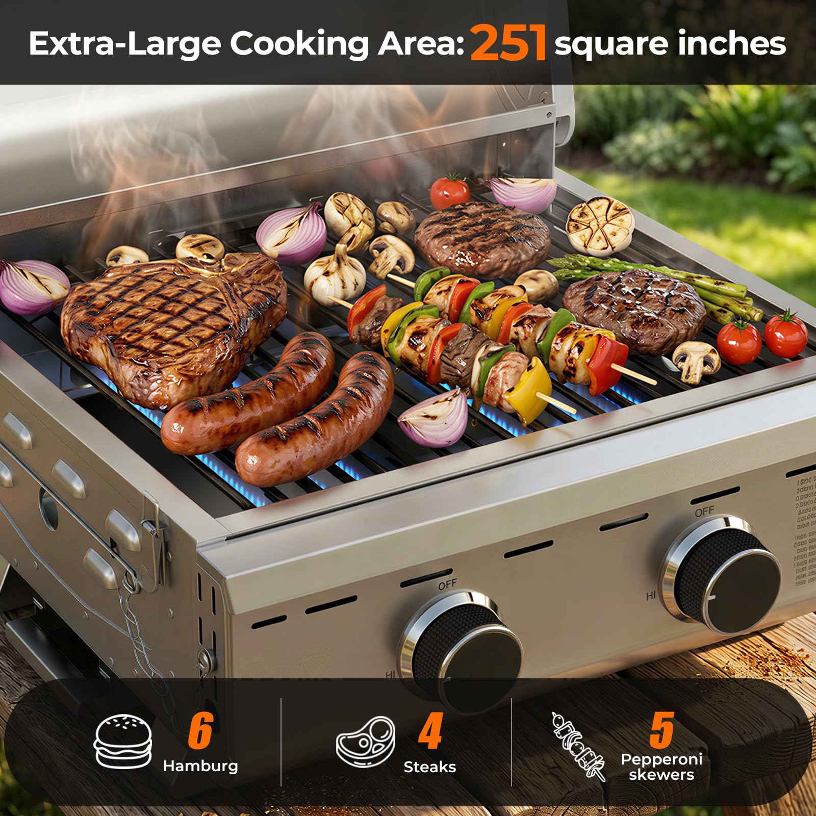 2-Burner Tabletop Propane Gas Grill Stainless Steel 16000 BTU with Foldable Legs